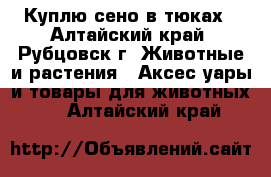 Куплю сено в тюках - Алтайский край, Рубцовск г. Животные и растения » Аксесcуары и товары для животных   . Алтайский край